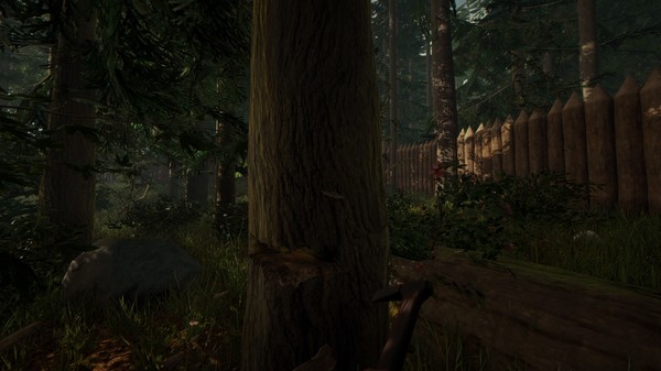 Отзывы the forest - 11 обзоров игроков с оценками