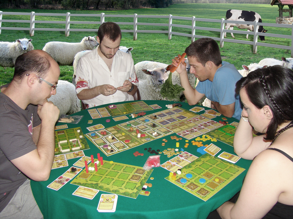 Настольная игра агрикола (agricola): правила игры, обзор настолки или как играть — настольная игра агрикола — хобби и развлечения